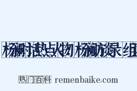 杨澜对话热点人物：杨澜访谈录Ⅱ组词是什么意思的图片